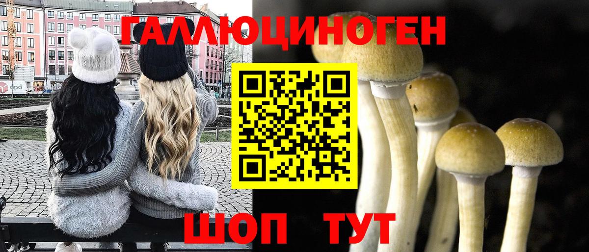 Псилоцибиновые грибы GOLDEN TEACHER  Вход с VPN  Воркута  Галлюциногенные грибы Magic Shrooms 